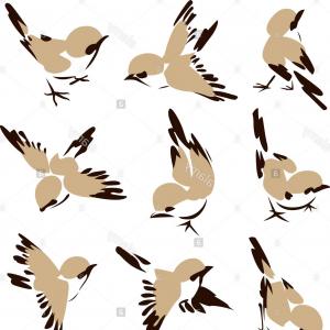 300x300 A Flock Of Flying Birds Vector Sohadacouri