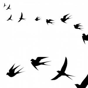 300x300 photostock vector a flock of ducks a cartoon flock of birds vector