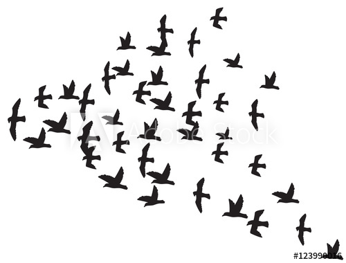500x380 A Flock Of Flying Birds