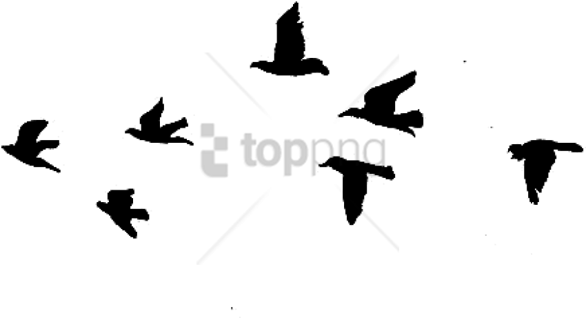 850x461 Flying Birds Gif Drawing Png Image With Transparent Background