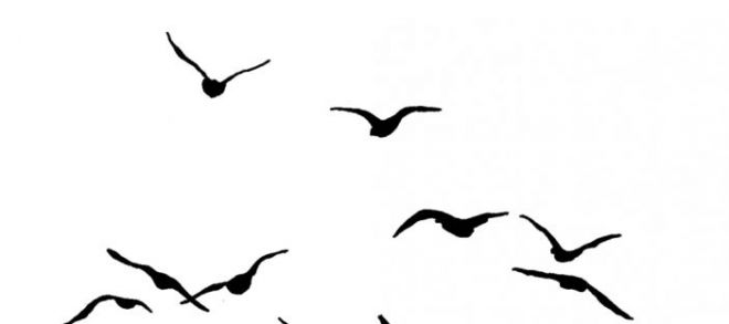 660x293 Bird Drawing Simple And Flying Birds Estampados