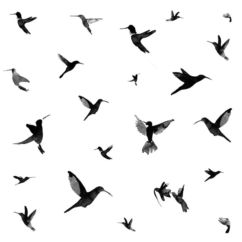 770x770 Birds Drawing
