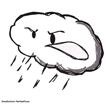 355x355 Esselfortium