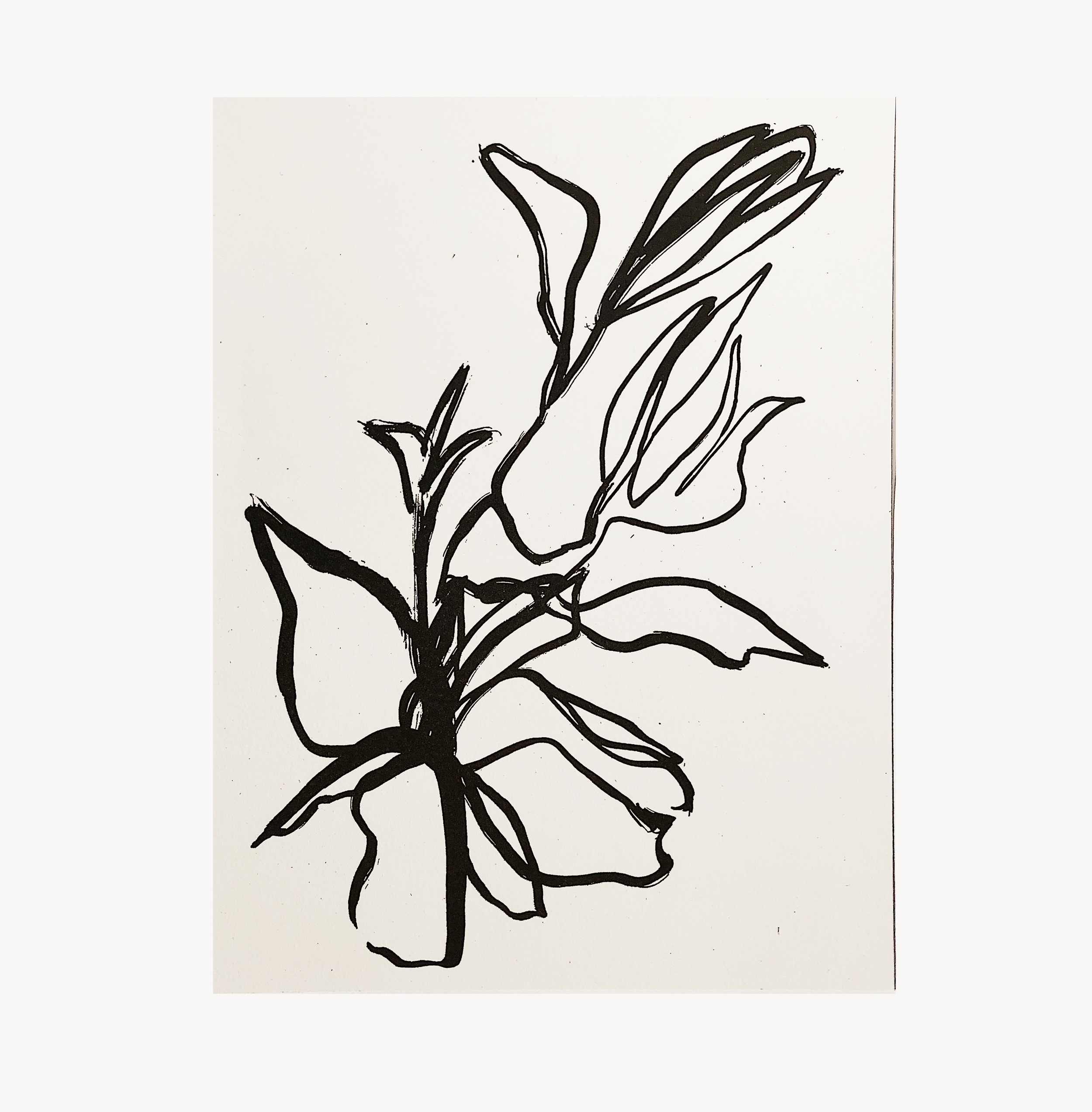 2500x2546 Flora Art Print