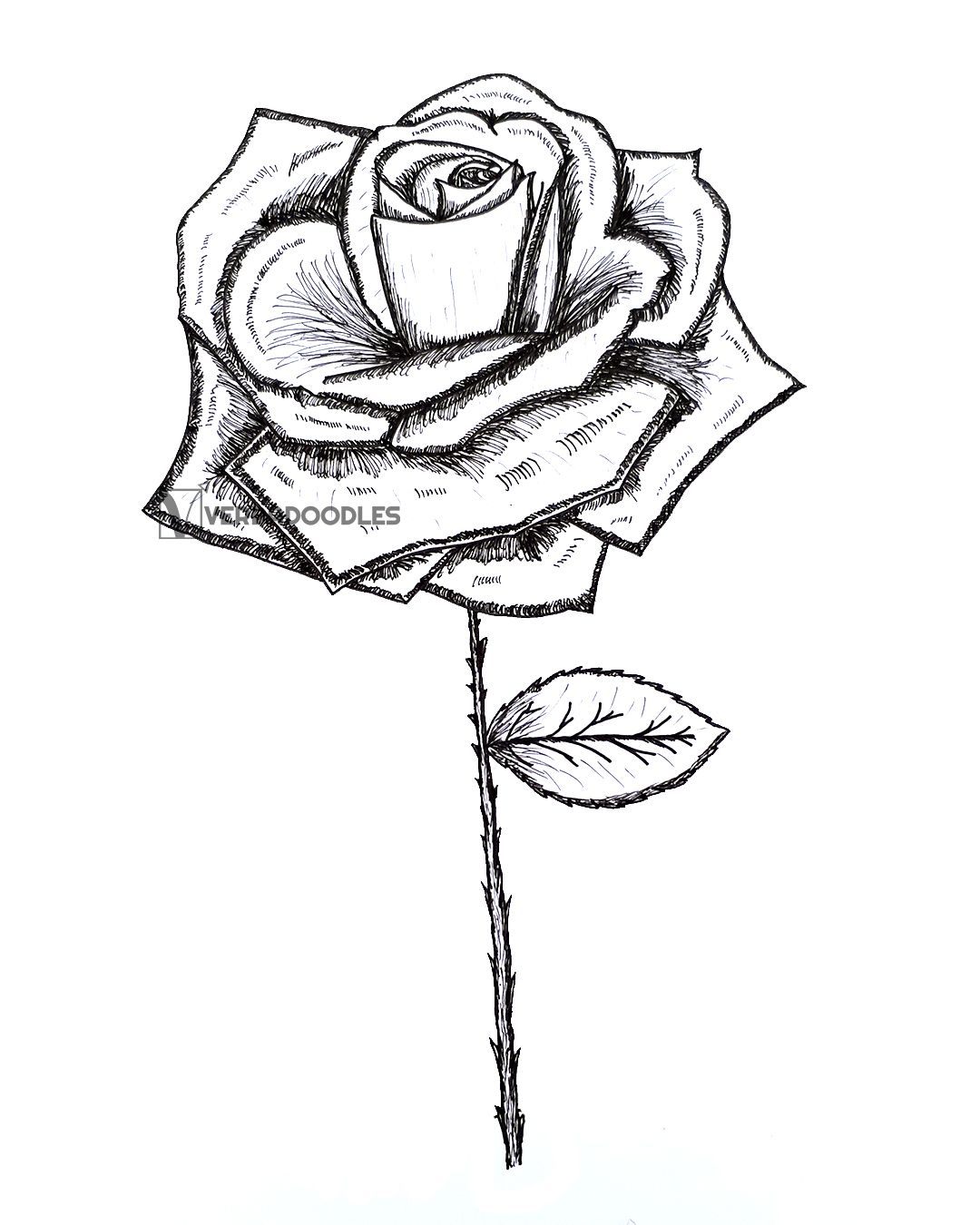 1080x1350 Random Doodle