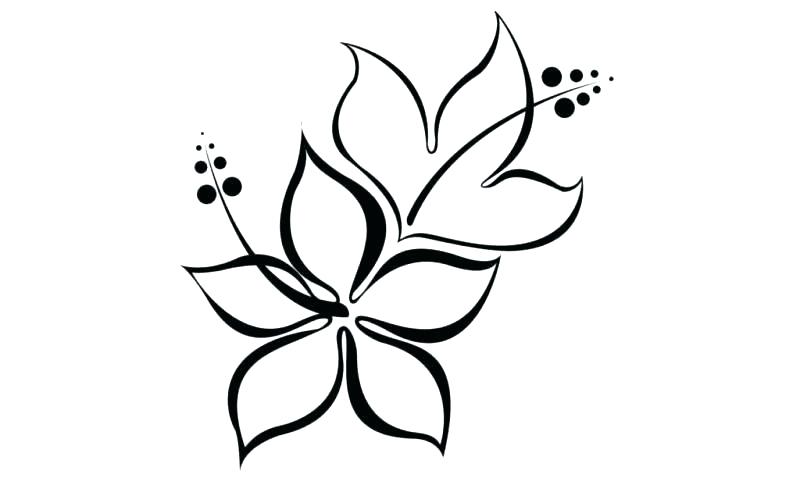 800x491 Flower Easy Drawing Easy Floral Doodles How To Draw Flowers Flower