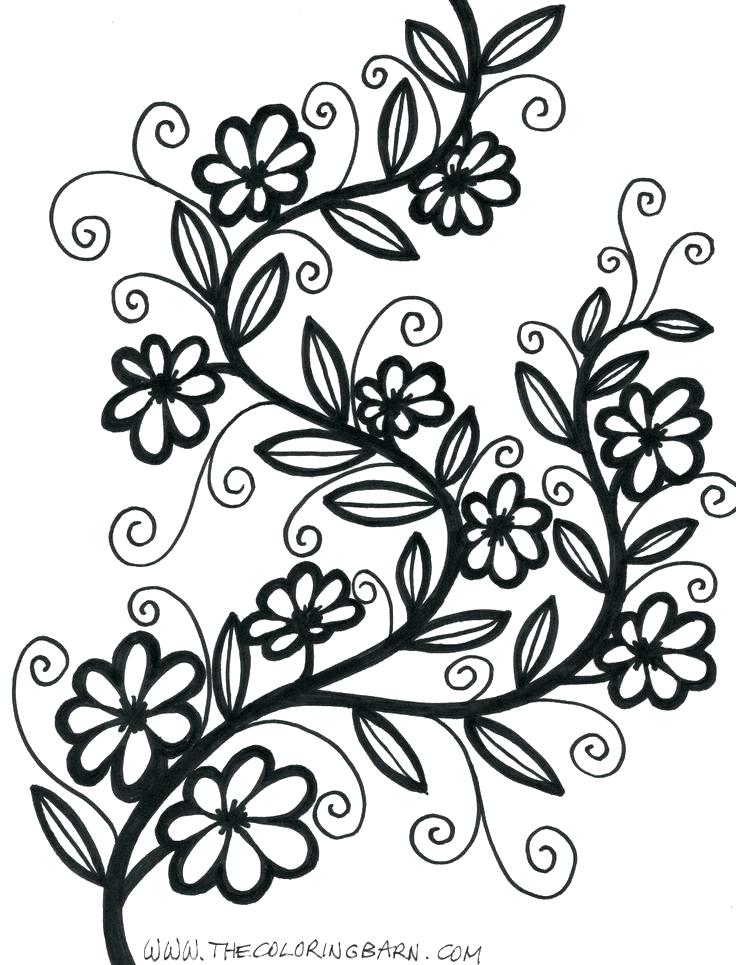 736x965 How To Draw Simple Flower Designs