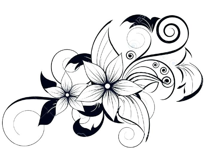 736x551 Simple Flower Drawing Image Titled Draw Flowers Step Simple