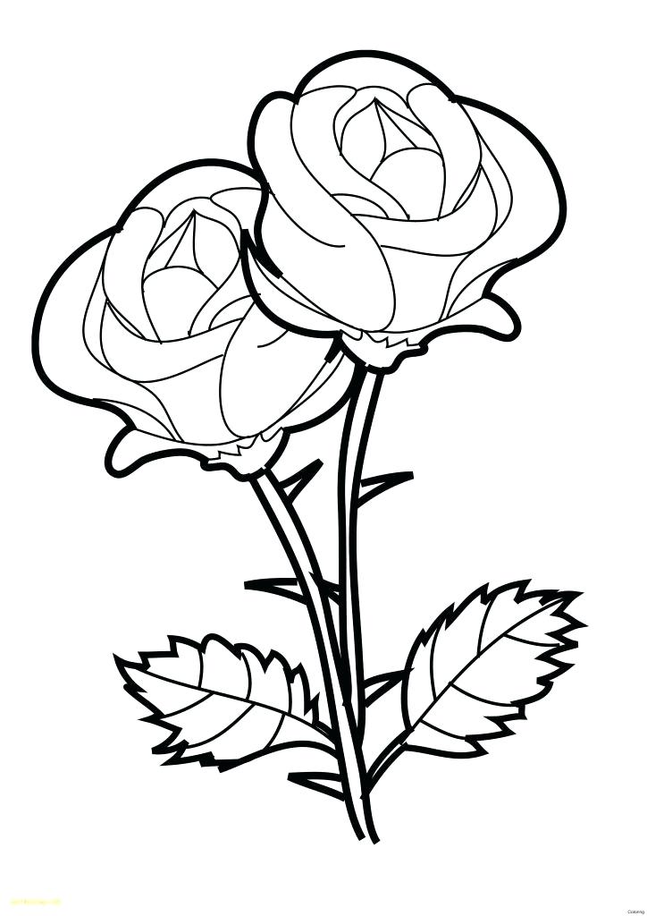 724x1024 Flower Drawings For Kids