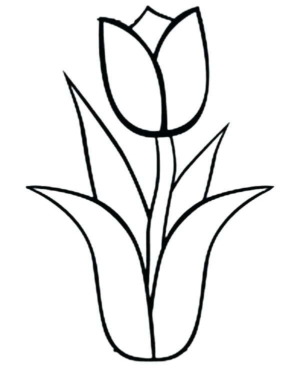 600x777 Flower Line Clip Art Black And White Simple Outline Drawing
