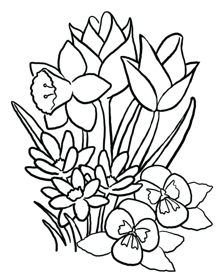 736x919 Spring Flowers Drawing Spring Flowers Line Drawing