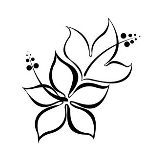 336x336 Black And White Flower Drawing Gif Design Easy Line Single Pencil