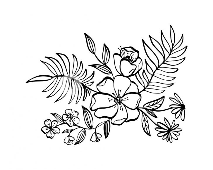 728x582 Black And White Flower Line Drawing Gif Beautiful Easy For Sale