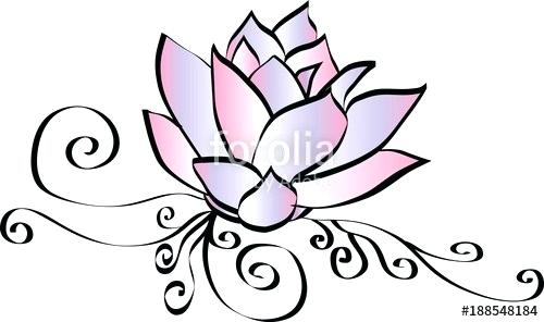 500x296 Lotus Flower Drawing Lotus Flower Drawing
