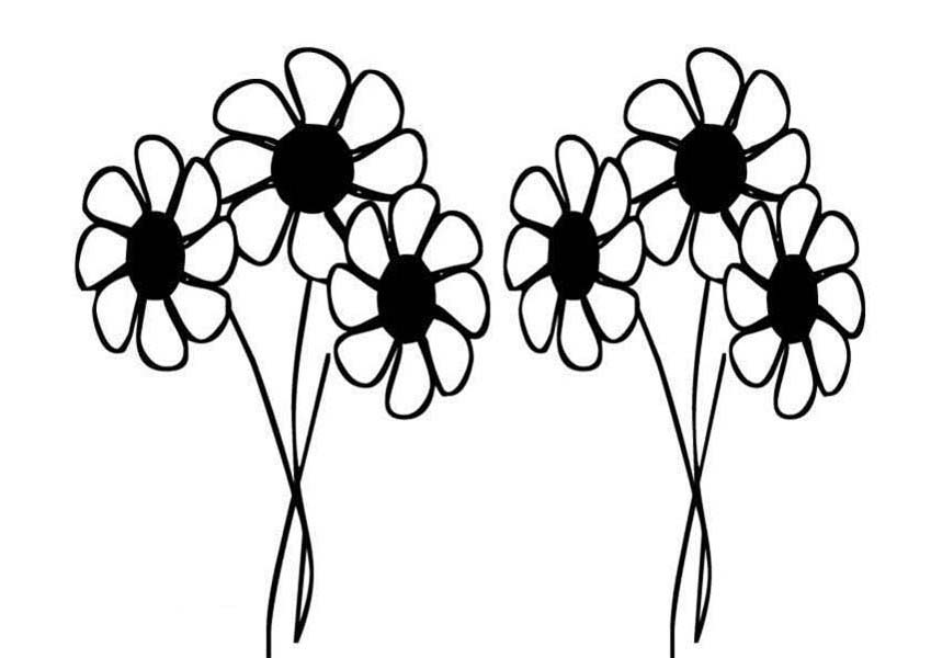 849x600 Daisy Flower Drawing Coloring Page