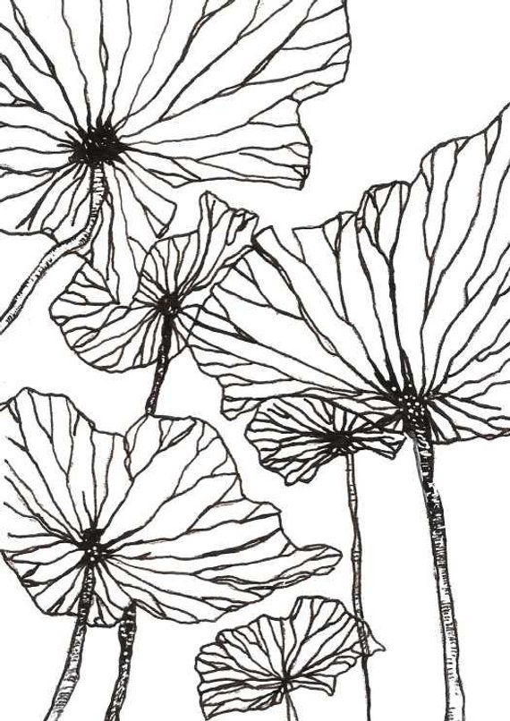 570x806 Digital Floral Print, Flower Wall Art, Botanical Prints, Plant