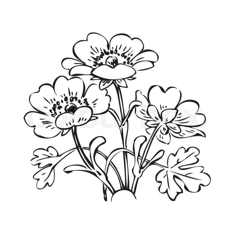 800x800 Floral Bush Retro Black On White Stock Vector Colourbox