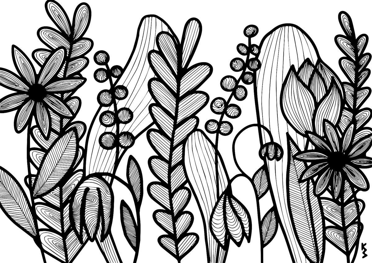 1200x851 Postcard Art Print Drawing Nature Flower Plants Floral Etsy