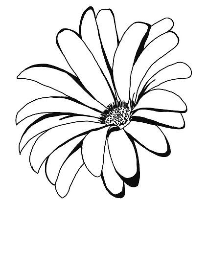 425x550 Spring Time Flower Art Zentangle Art Line Art