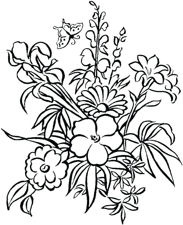 585x720 Coloring Pages Of Flowers Coloring Pages Of Flowers Flower Print