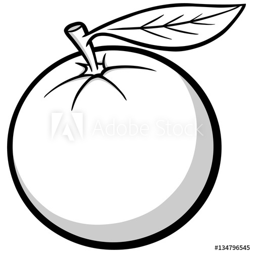 500x500 Florida Orange Illustration