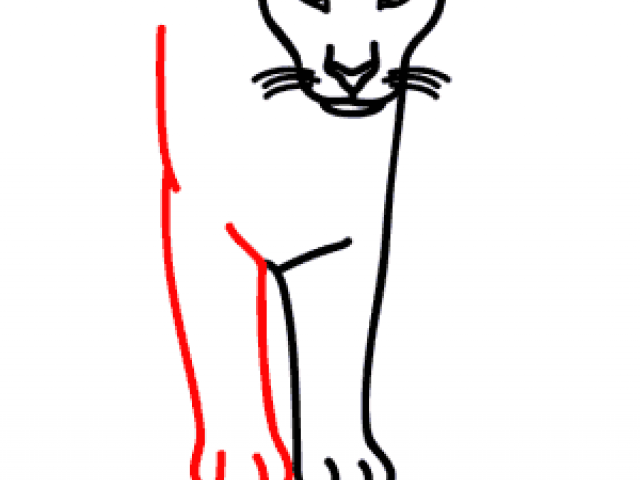 640x480 Free Drawn Panther, Download Free Clip Art