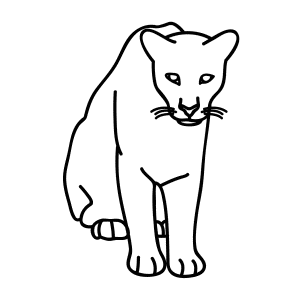 Florida Panther Drawing | Free download on ClipArtMag