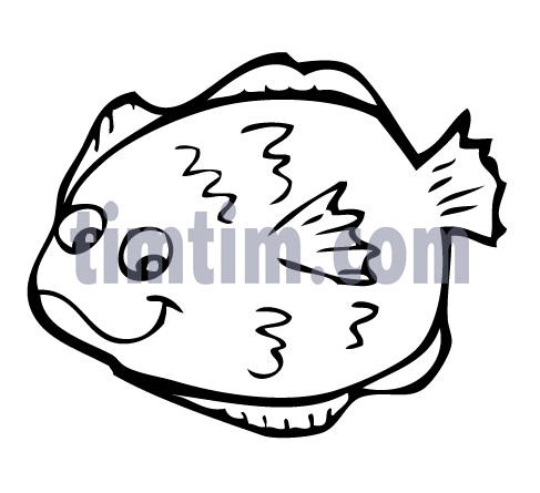487x445 Free Drawing Of A Flounder Fish Bw From The Category Fish
