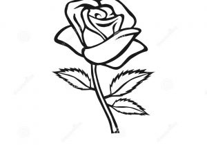 300x210 outline sketch of flowers arrangement of flowers black and white