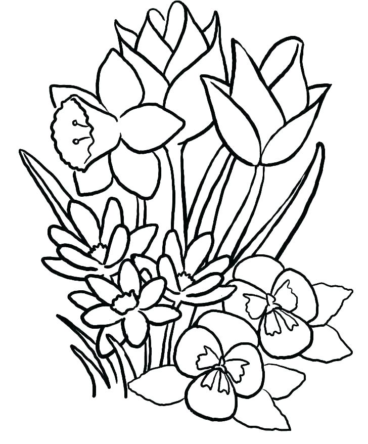 728x878 Flower Bouquets Coloring Pages