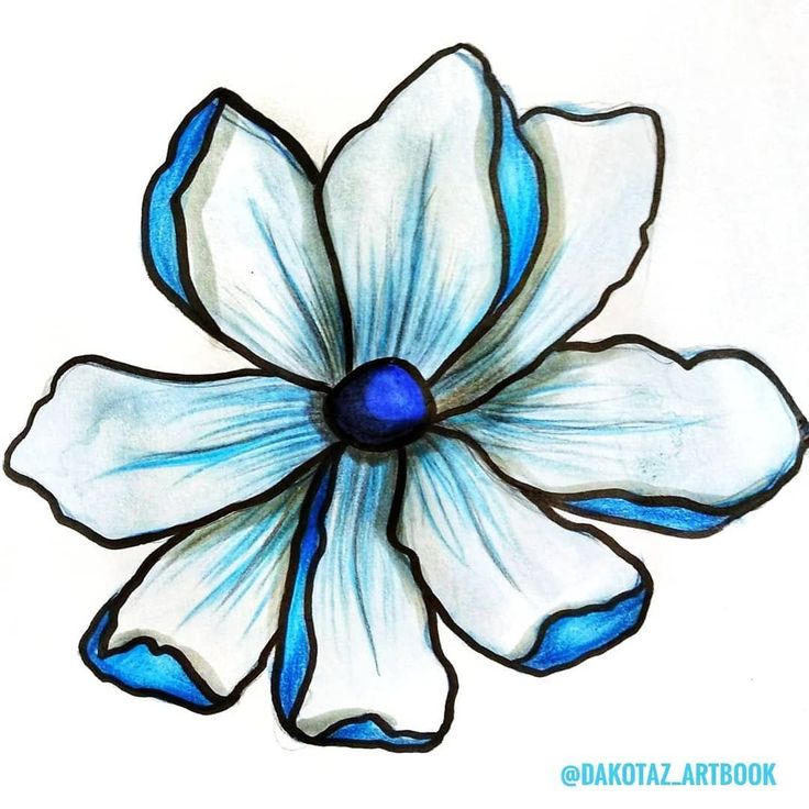 736x736 Flowers Drawings Inspiration Just The Blue Stylized Flower