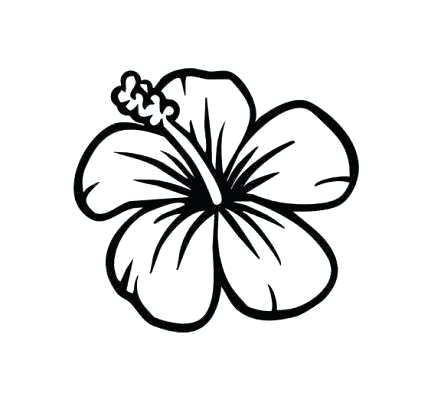 431x399 Easy Drawings Of A Flower