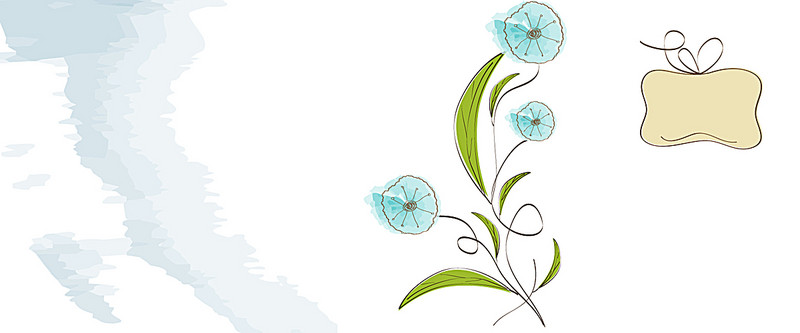 800x333 Drawing Creative Illustration Background, Flowers, Poster Banner