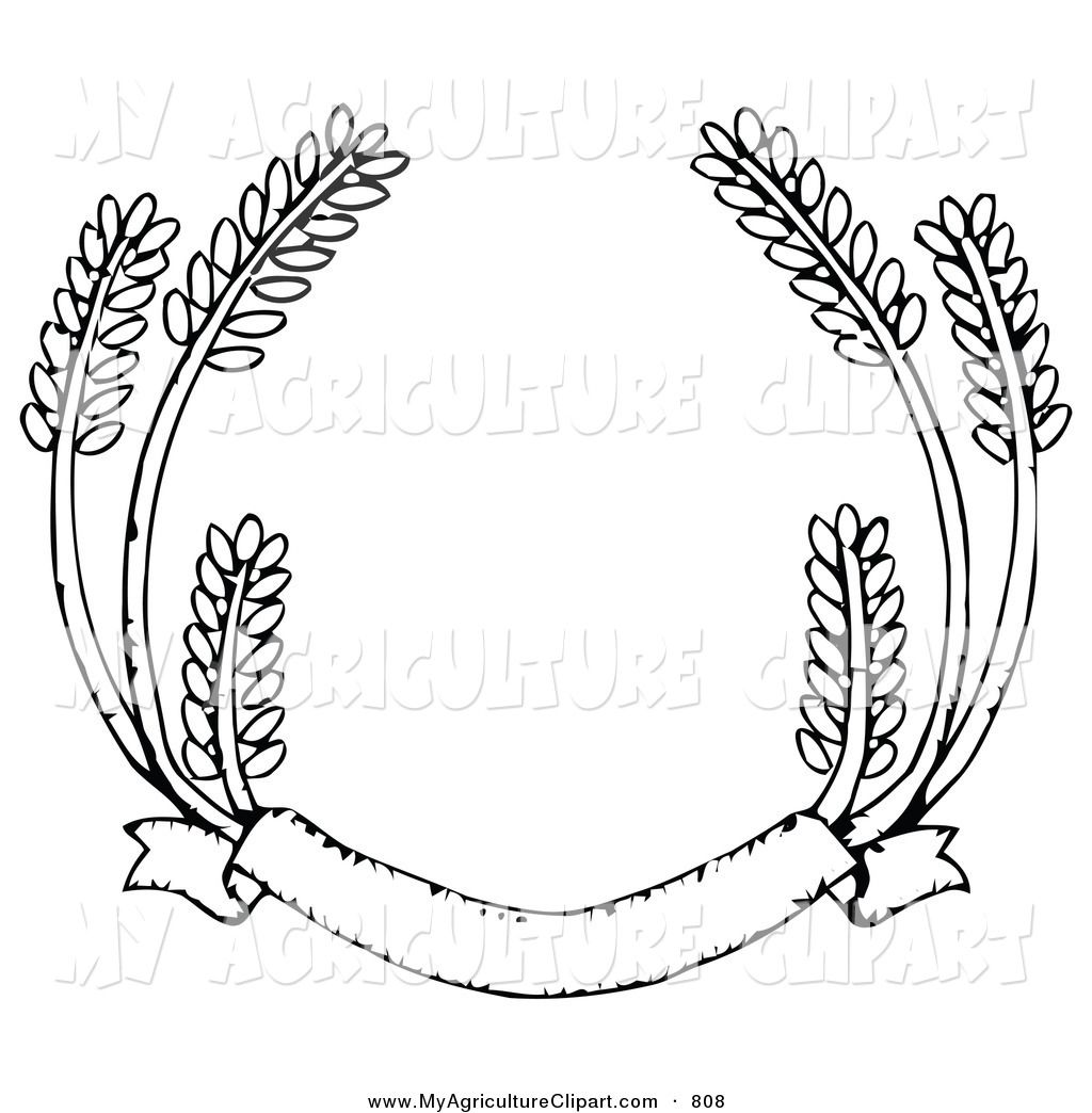 1024x1044 Vector Agriculture Clipart Of A Blank Banner With Strands Of Wheat
