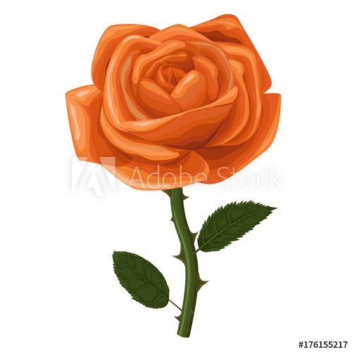 500x500 vector watercolor floral one rose orange flower with greenery