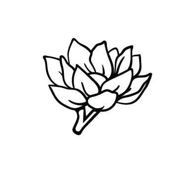 394x350 Catholic Drawing Flower Transparent Png Clipart Free Download