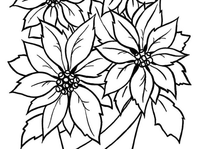 640x480 Drawing Of Flower Basket With Colour Christmas Flower Printable