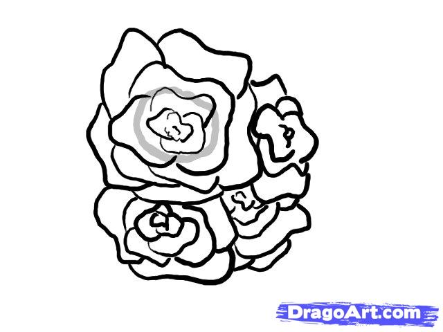 640x480 How To Draw A Basket Of Roses, Step