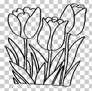310x308 Flower Bouquet Drawing Png, Clipart, Black And White, Bride