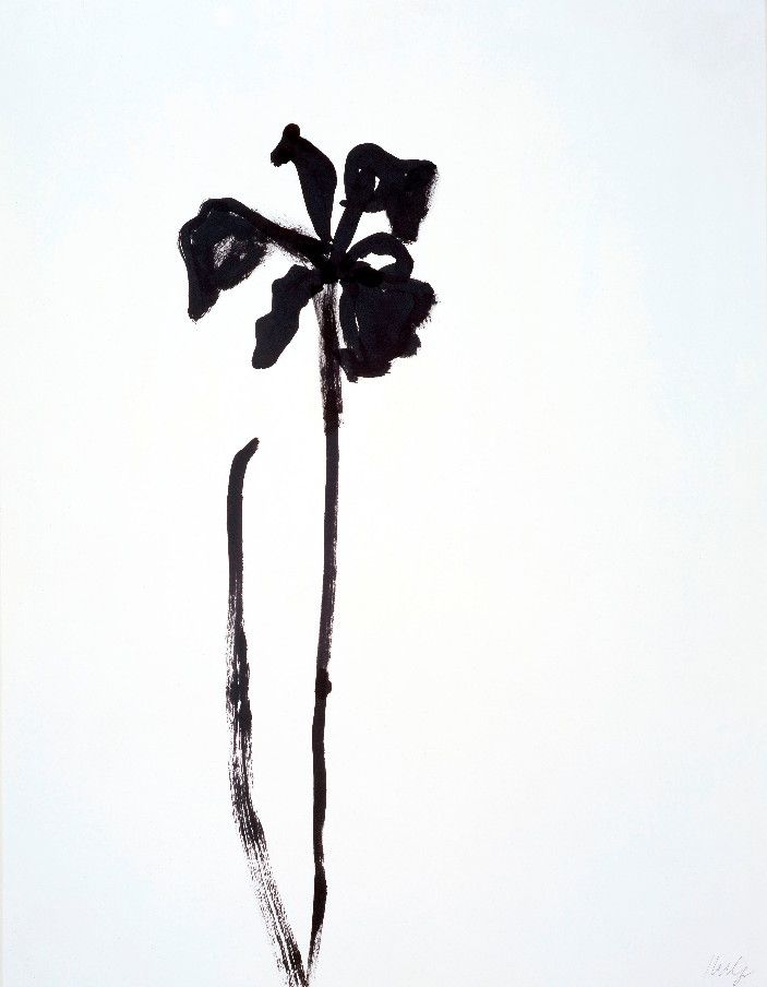 703x904 american artist ellsworth kelly exhibits his flower and plant