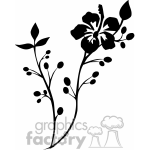 300x300 Black Drawing Of A Hibiscus Flower On A Branch Clipart Royalty