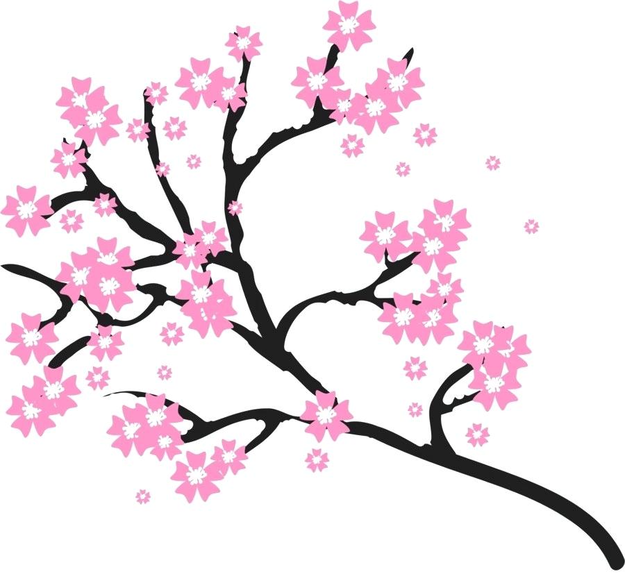 900x840 Cherry Blossom Drawings