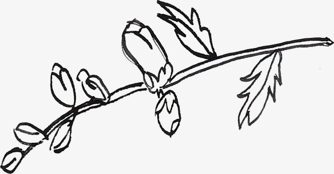 650x340 branch line drawing, branch clipart, line clipart, black png image