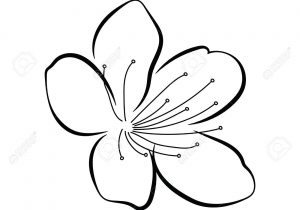 300x210 Flower Buds Drawing Rose Bud Drawing At Getdrawings Free