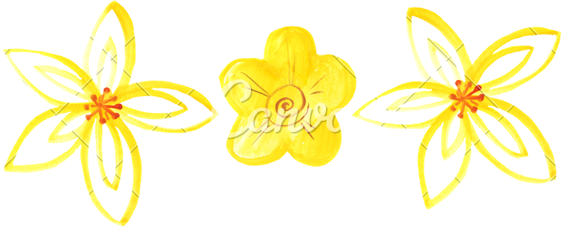 800x322 Hand Drawing Of A Flower Bud