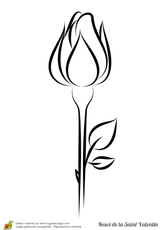 540x764 Drawing Drawings, Pencil Drawings