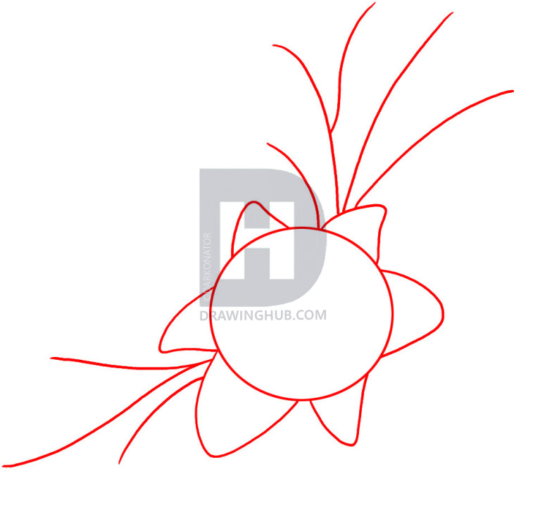 757x720 How To Draw A Flower Tattoo, Step