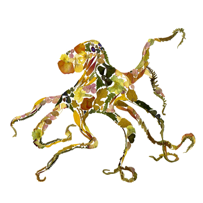 800x800 Floral Collage Anastasia Kovaleva