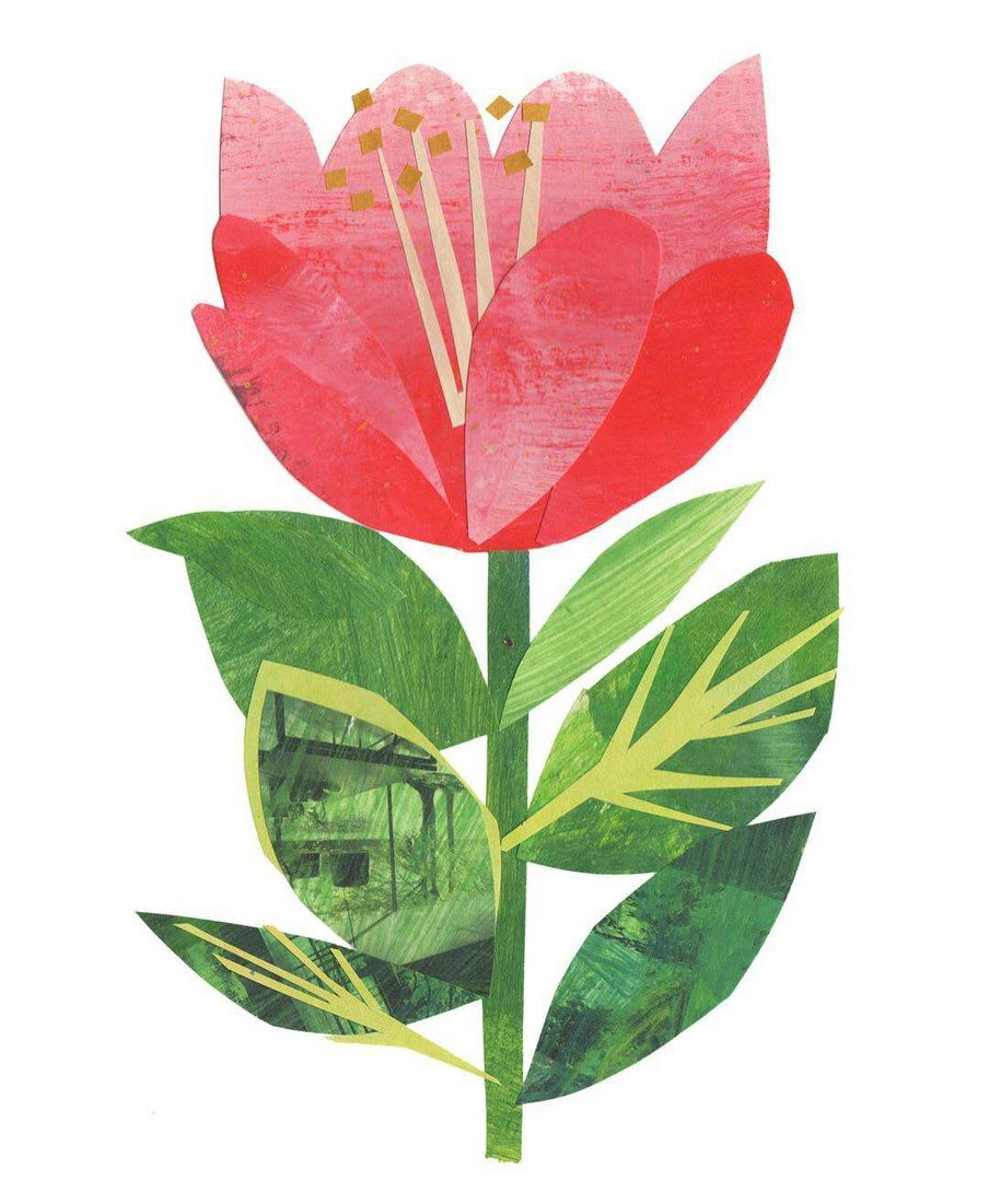 904x1080 Illustration Flower Collage