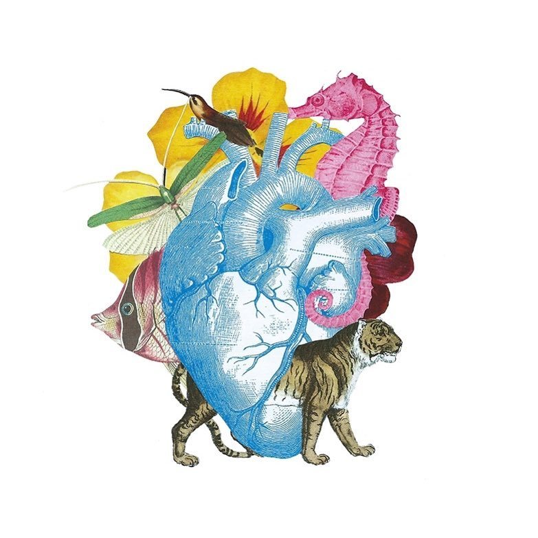 783x783 Randomagus Let The Heart Be Collage Paper On Paper